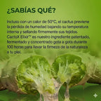 Dr.Melaxin Mascarilla de Papada CactoX V-Lifting: reduce la hinchazón y cierra los poros
