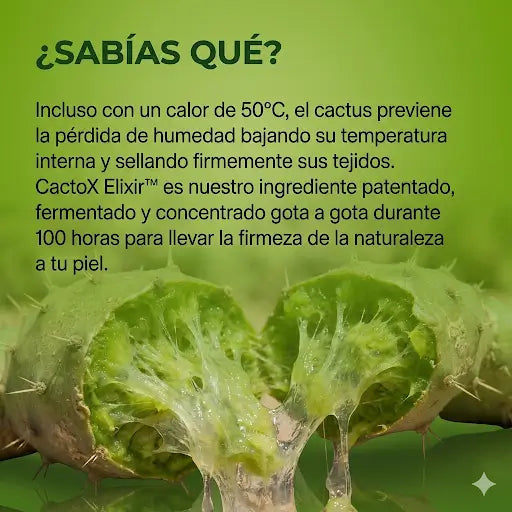 Dr.Melaxin Mascarilla de Papada CactoX V-Lifting: reduce la hinchazón y cierra los poros